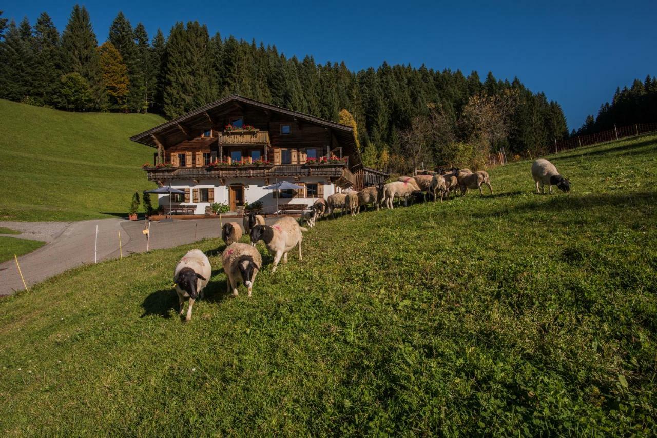 Bauernhof Muehltalhof Leilighet Ellmau Eksteriør bilde